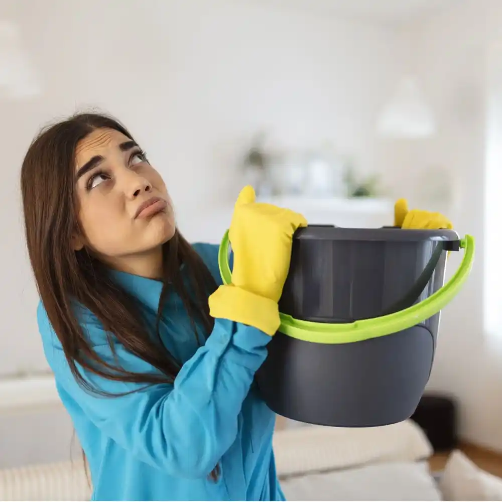 water damage restoration service Wrenshall